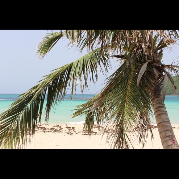 Meet your Posher, Maris - Picture 1 of 1